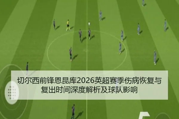 切尔西前锋恩昆库2026英超赛季伤病恢复与复出时间深度解析及球队影响