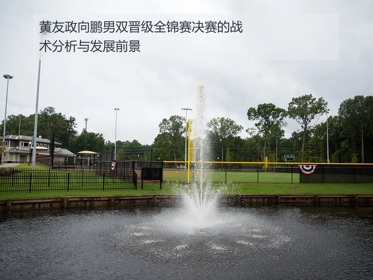 黄友政向鹏男双晋级全锦赛决赛的战术分析与发展前景